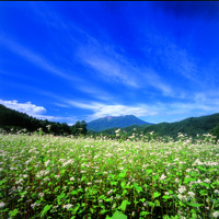 201409kikanshi 9月号表紙