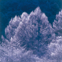 201412kikanshi 12月号表紙