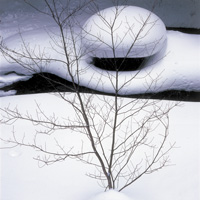 201502kikanshi 2月号表紙