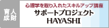 サポートプロジェクト HAYASHI