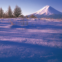 hyoushi1103 1月号表紙