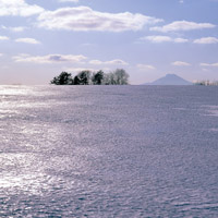 hyoushi1103 3月号表紙