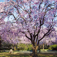 hyoushi1103 4月号表紙