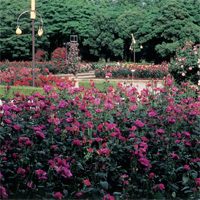 hyoushi1103 6月号表紙